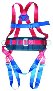 FULL BODY HARNESS